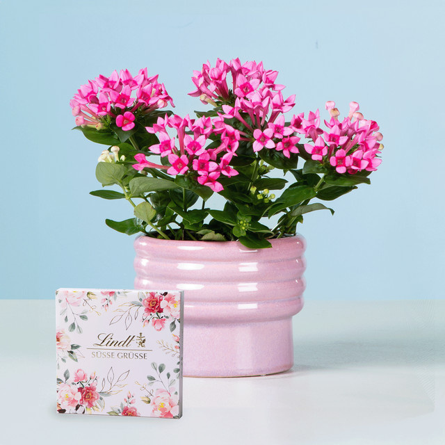Blütenwolke von BLUME2000 mit Lindt Pralinés, 100 g - Bild 1