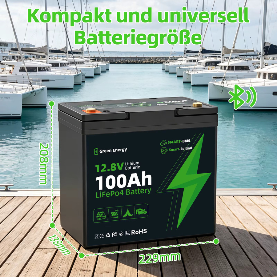 Blossom LiFePO4 Batterie 12,8V 100Ah mit Smart BMS, 1280Wh Deep-Cycle-Lithiumbatterie, IP67 wasserdicht - Bild 3