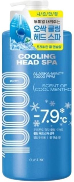 Elastine Cooling Head Spa Shampoo, 1000 ml, für fettiges Haar, Menthol - Bild 1