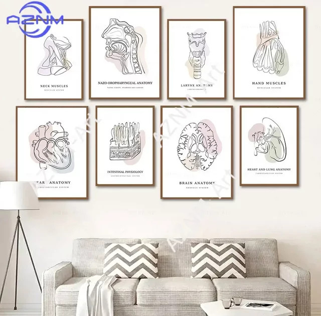 KAYOU Wandkunst Anatomie Skandinavischer Stil als farbenfrohes Leinwand-Poster in Mehrfarbig - Bild 1