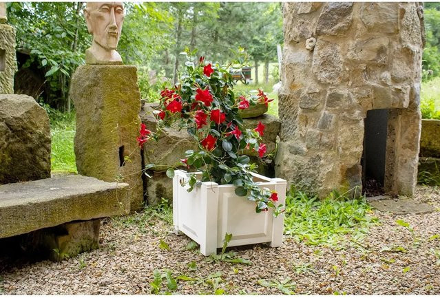KHW Pflanzkasten quadratisch in Weiß für Kübelpflanzen - Bild 1