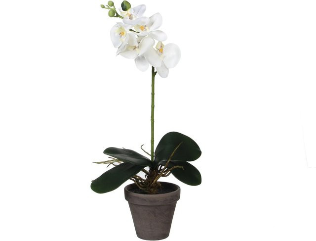 Mica Decorations Kunstpflanze Phalaenopsis Orchidee in Weiß, Topf Durchmesser: 13 cm, Höhe: 48 cm - Bild 1