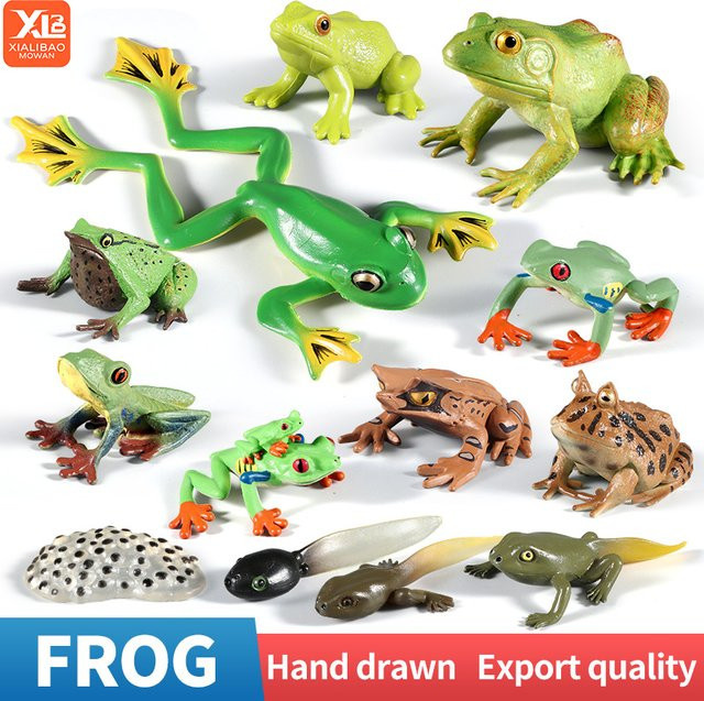 XIALIBAOMOWAN Wild-Insektentiere Ochsenfrosch-Lebenszyklus-Spielzeug, Actionfigur, Kunststoff - Bild 1