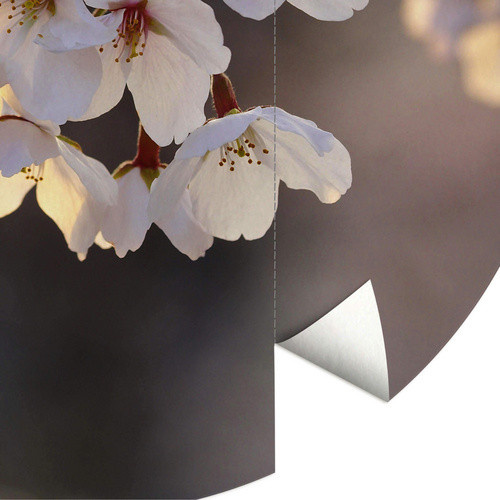 K&L Wall Art Runde Vliestapete Kirschblüten Baum Knospen mehrfarbig matt B/H: 236 x 236 cm - Bild 4