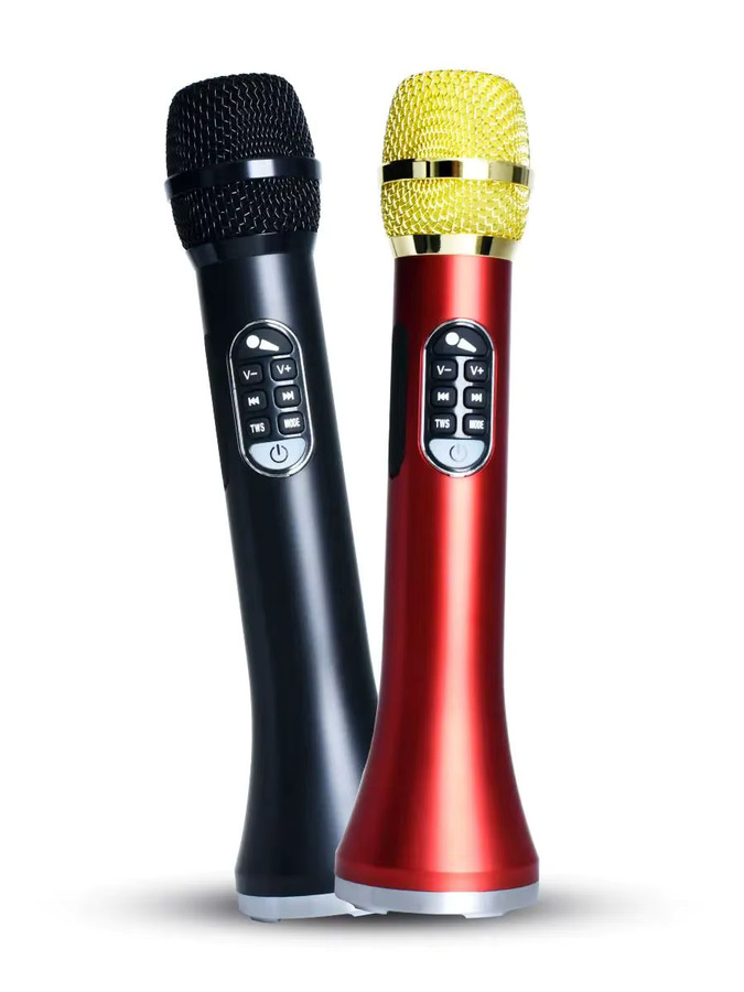 P2MAX Tragbares 40 W Megaphon-Mikrofon All-in-One Lautsprecher für Karaoke und Partys in Schwarz - Bild 6