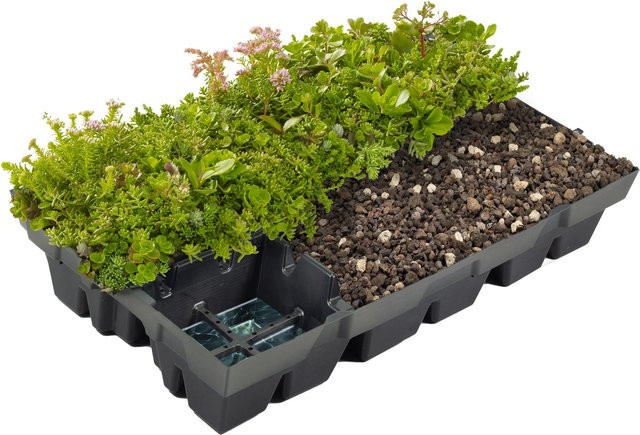 Pflegeleichte Dachbegrünung Plantile Kassette in Grün für 23 m² bis 34 m² - Bild 1