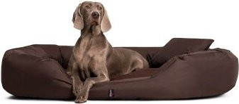 Tierlando Orthopädisches Hundebett SAMMY in Braun mit abnehmbarem Bezug und erhöhter Umrandung, B/T/H: 140 x 105 x 30 cm - Bild 1