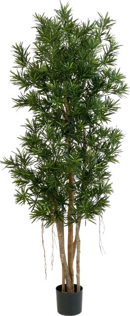 Künstlicher Podocarpus Reflexa Paul von Aplanta, Höhe: 150 cm - Bild 1
