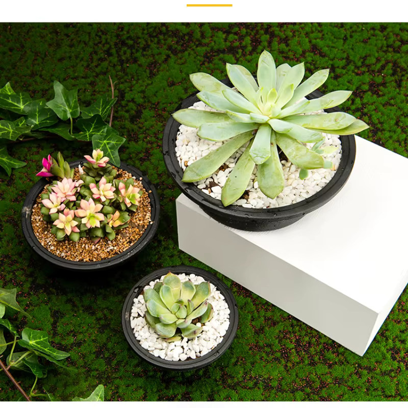 Runder Blumentopf aus Kunststoff für Desktop-Dekoration in Grün oder Schwarz - Bild 2