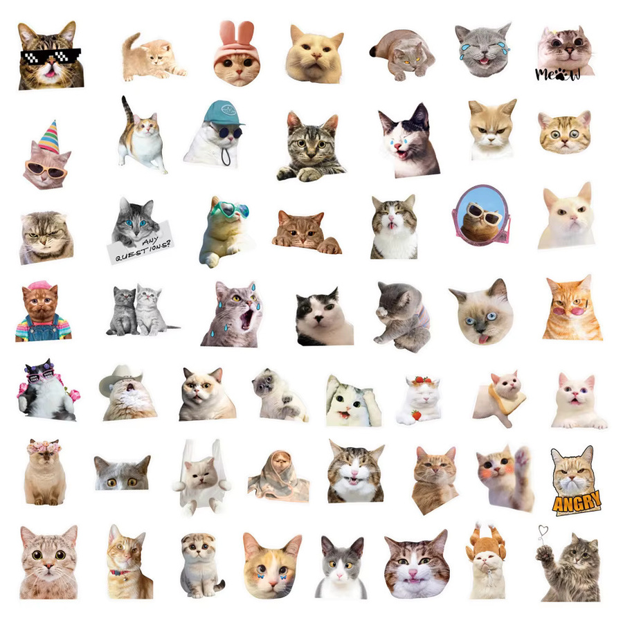 Rspctou Katze Meme Aufkleber, transparent, bunt, 10-teiliges Set - Bild 3