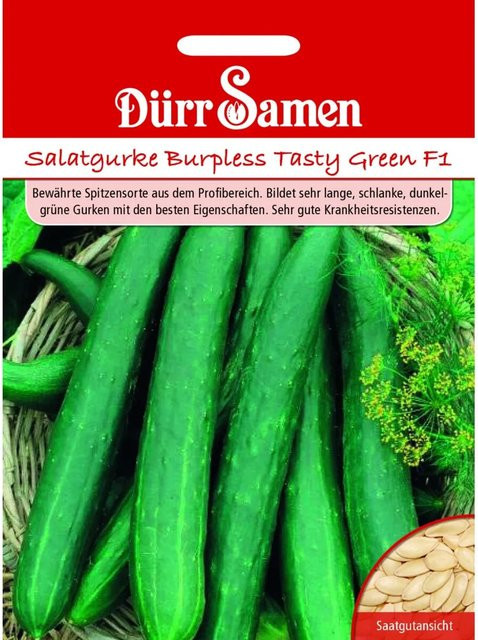 Dürr Salatgurken Burpless Tasty Green F1 Saatgut - Bild 1