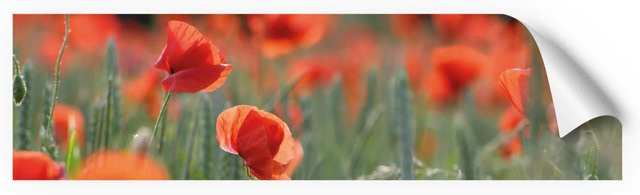 Myspotti Küchenrückwandfolie Mohn in Tile-Look, selbstklebend, Multicolor/Rot, B: 220 cm, H: 60 cm - Bild 1