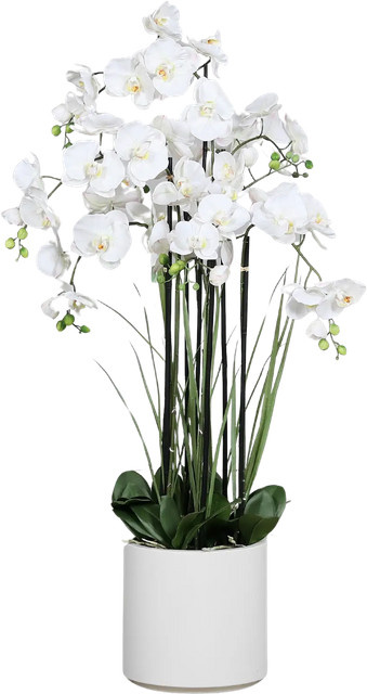 Künstliche Orchidee Allen von Aplanta in Weiß mit Dekotopf, Real Touch, Höhe: 120 cm - Bild 1