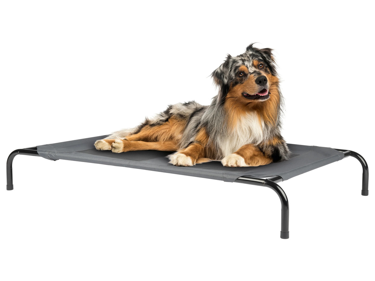 ZOOFARI Haustierbett für Hunde in Grau und Schwarz mit erhöhtem Boden und modernem Design - Bild 2
