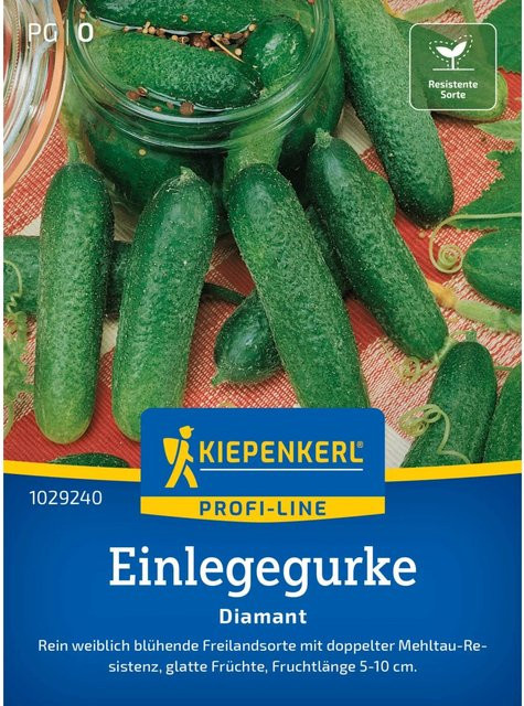 Kiepenkerl Einlegegurken Diamant F1 dunkelgrün - Bild 1