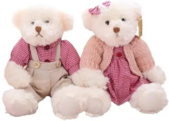 BC Pet Supplies Liebespaar Teddybär mit Kleidung, Plüschtier, 2-teiliges Set - Bild 1