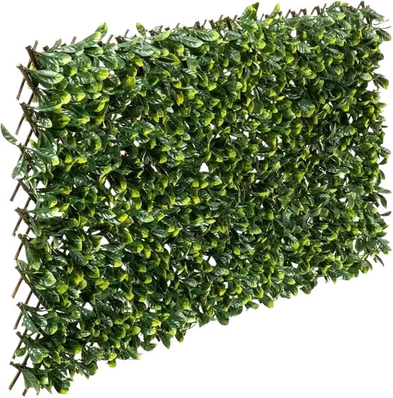 Flexible Prunus Pflanzenwand Malte von artplants in Grün, Höhe: 130-200 cm - Bild 1