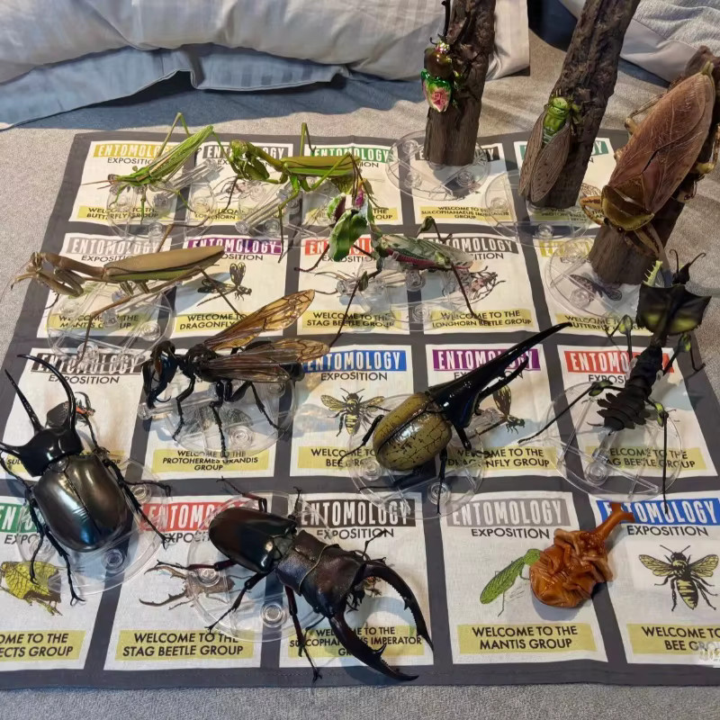Bandai Chalcosoma Atlas Kaukasus Käfer, Bewegliches Modell, Actionfigur - Bild 1