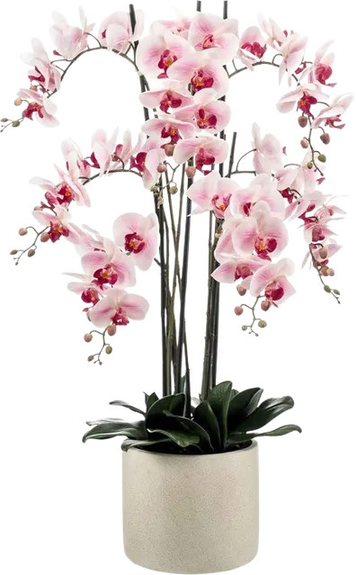 Künstliche Orchidee Leo von Aplanta, Höhe: 100 cm - Bild 1