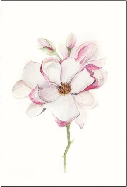 Komar Wandbild Magnolia Blossom Paper Poster Breite: 30 cm, Höhe: 40 cm - Bild 1