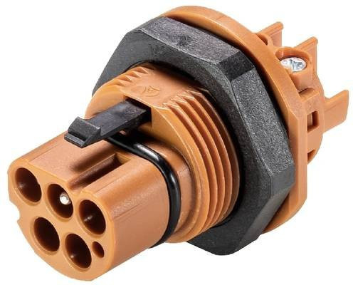Wieland Electric 96.042.5051.4 Geräteanschluss in Orange - Bild 1