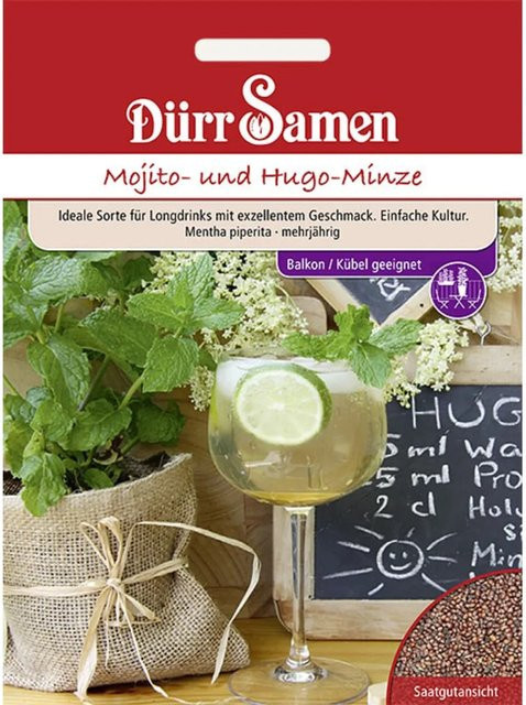Dürr Samen Mojito- und Hugo-Minze Saatgut - Bild 1