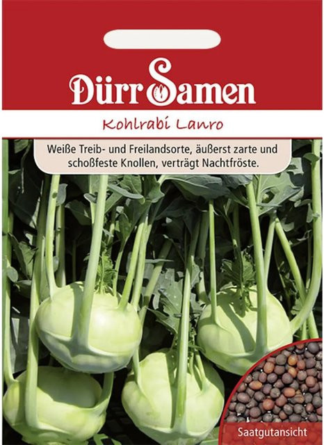 Dürr Kohlrabi Lanro Saatgut für den Freilandanbau - Bild 1