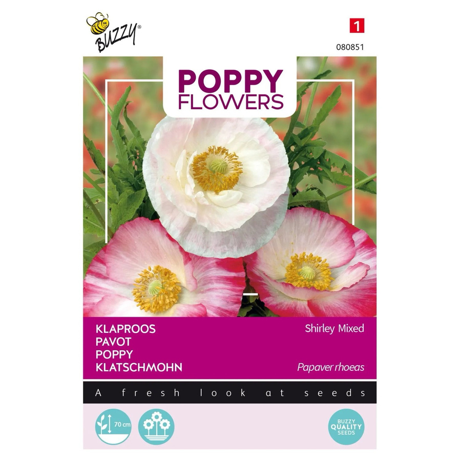 Arborix Klatschmohn Shirley Einfach Mischung Samen für den Garten, 1 g - Bild 2