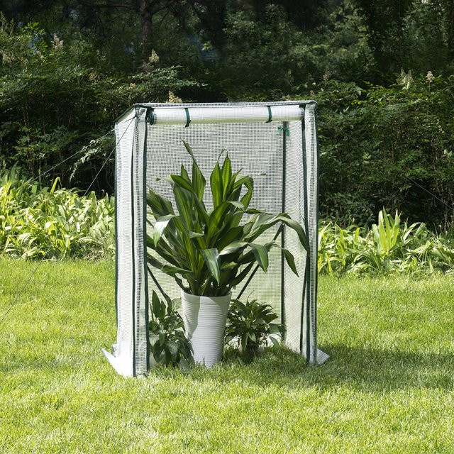 WOLTU Gewächshaus aus Polycarbonat für Blumen und Gemüse, transparent, B/T/H: 150 x 100 x 50 cm - Bild 1