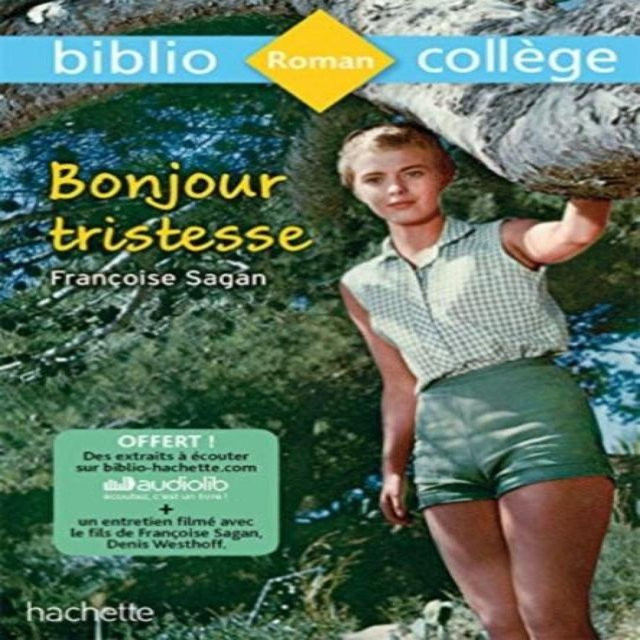 Bonjour Tristesse von Françoise Sagan, Taschenbuch - Bild 1