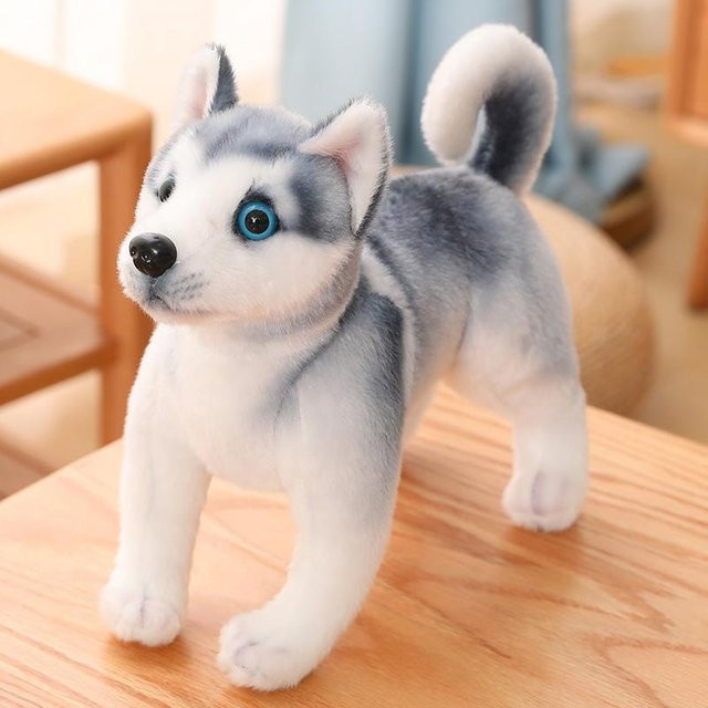 Kidsly Simulation Husky Hund Plüsch Spielzeug, Stofftier, 30cm - Bild 1