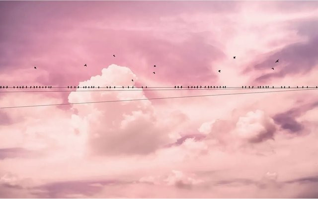Sanders & Sanders Fototapete Wolken in Rosa Pink, Vliestapete, B: 400 cm, H: 250 cm - Bild 1