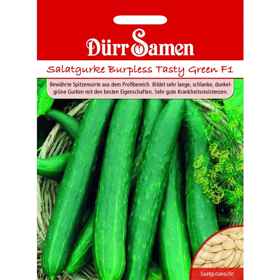 Dürr Salatgurken Burpless Tasty Green F1 Saatgut - Bild 2