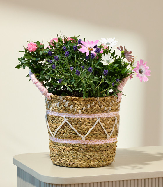 Sanfte Blüten von BLUME2000 im Korb für Balkon und Fensterbank - Bild 1