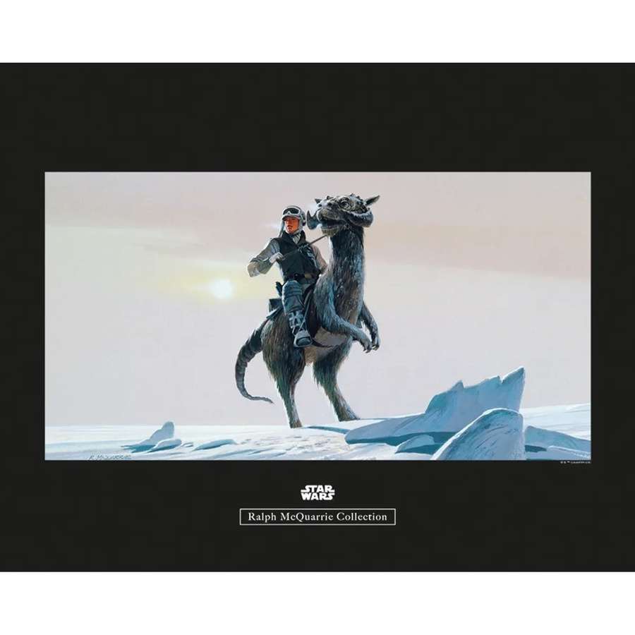 Komar Wandbild Star Wars Tauntaun Multicolor B: 50 cm, H: 40 cm - Bild 2