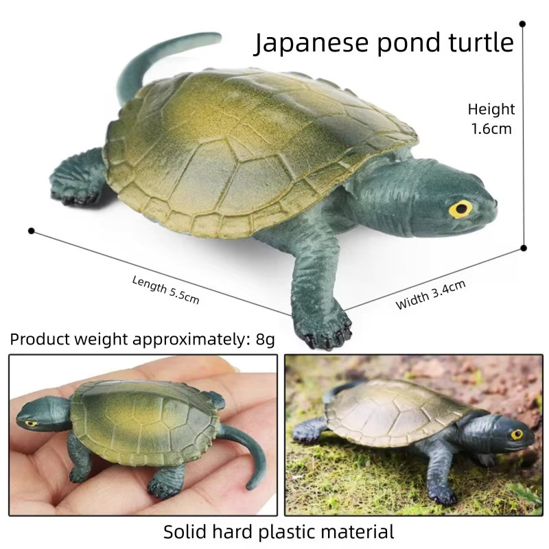 Oenux Simulations-Schildkröten-Set, Figuren und Puppen, Bunt / Mehrfarbig - Bild 2