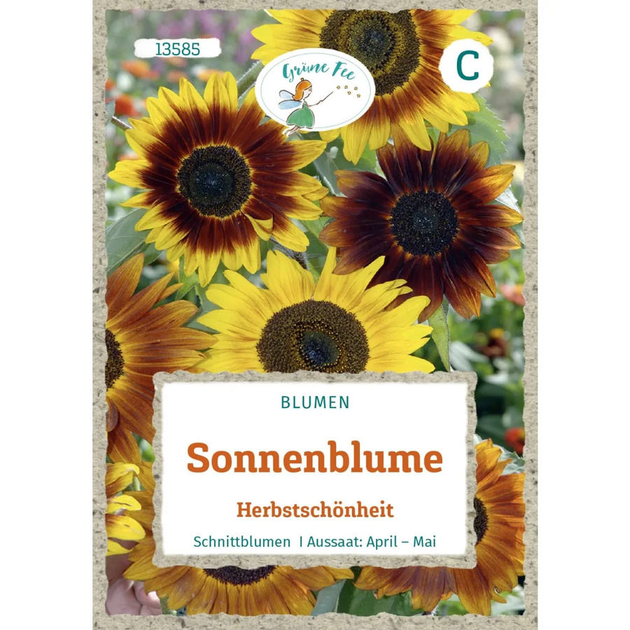 Grüne Fee Sonnenblume Herbstschönheit Saatgut - Bild 2