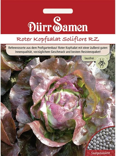 Dürr Samen Roter Kopfsalat Soliflore Rz Saatgut - Bild 1