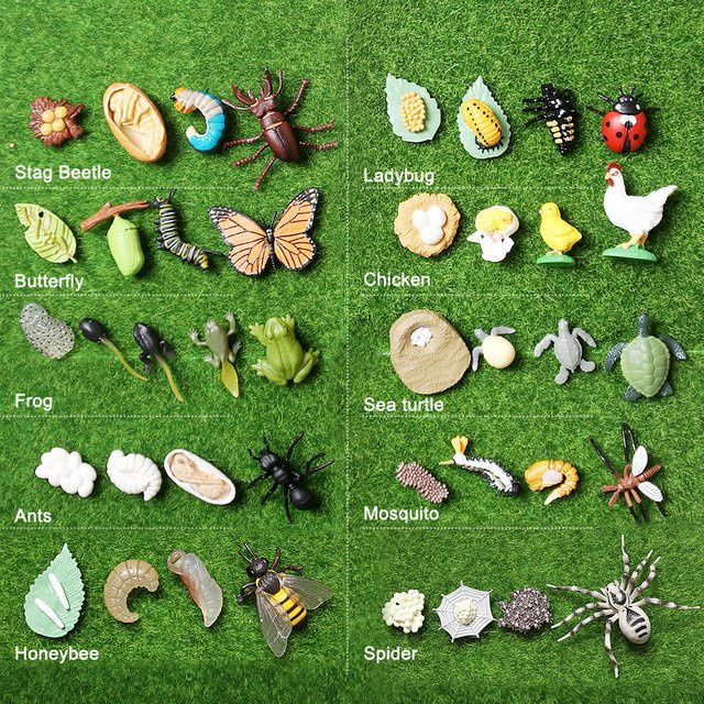 SamKaLa Prähistorische Meerestiere Figuren aus Kunststoff für Kinder mit Baculite, Opabinia, Nautilus, Trilobita und Eurypterida Miniatur-Modelle - Bild 1