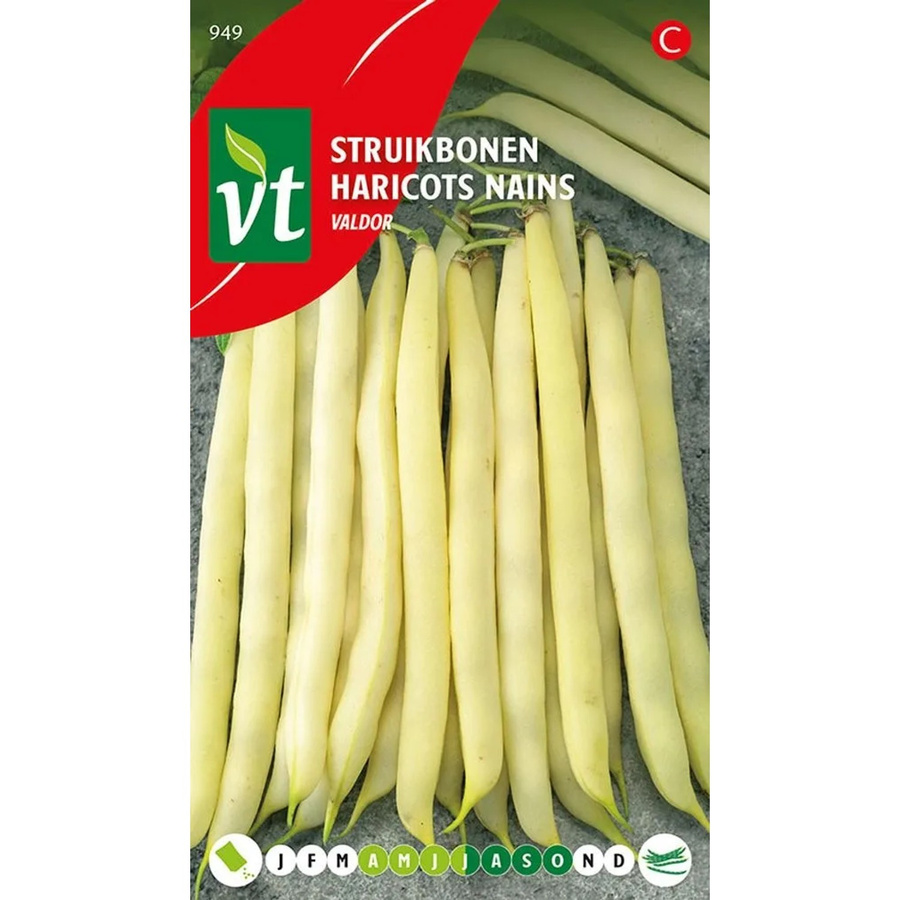 Arborix Buschbohne Valdor Saatgut 50 g - Bild 2