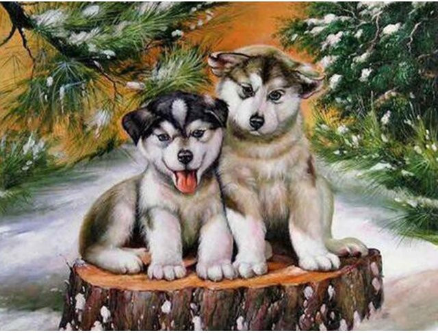 FIYO Diamant-Mosaik Set mit zwei Huskys, handgefertigtes Diamant-Gemälde in Mehrfarbig, Breite: 40 cm, Höhe: 50 cm - Bild 1
