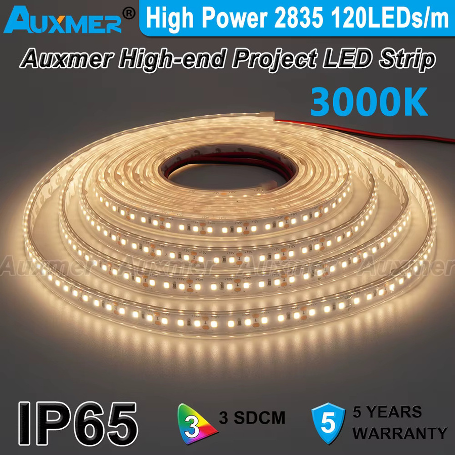 Auxmer LED Streifen RGB SMD 2835 mit 120 LEDs/m, IP65 wasserdicht, 28,8 W/m, 5m Rolle in Rot Grün Blau Gelb Bernstein - Bild 2