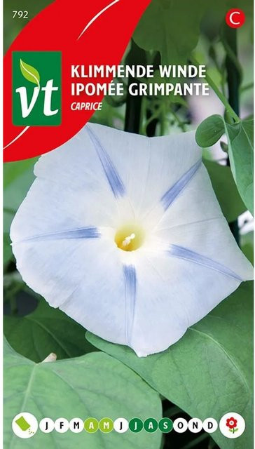 Arborix Prunkwinde Caprice Samen mit bunten Blüten, 0,75 g - Bild 1