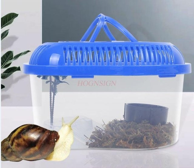 Binchi Haustier Aufzuchtbox, Haustierhaus Schnecke Käfer Aufzuchthaus Box Haustierbox - Bild 1
