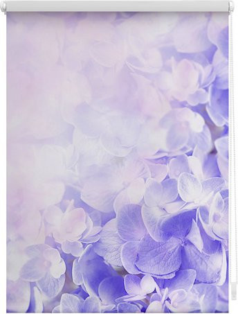 Lichtblick Rollo Klemmfix Hortensie Lila B/H: 120 x 150 cm - Bild 1
