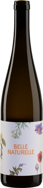 Jurtschitsch, Grüner Veltliner, trocken, Weißwein, 2022, 0,75 l - Bild 1