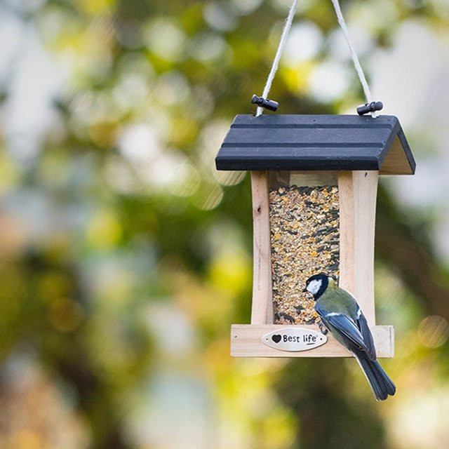 Futterhaus Cleveland von CJ Wildlife in verschiedenen Farben - Bild 1