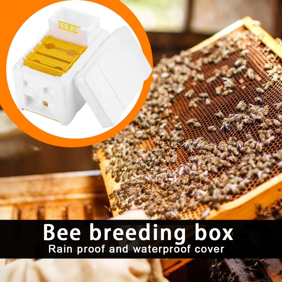 APWIKOGER Beehive Bienenzucht König Boxen Multi-Funktion Bienen Nest Werkzeuge und Rahmen Halter - Bild 2