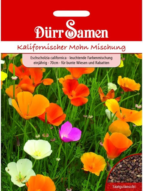 Dürr Kalifornischer Mohn Saatgut Leuchtende Farbmischung Einjährig - Bild 1