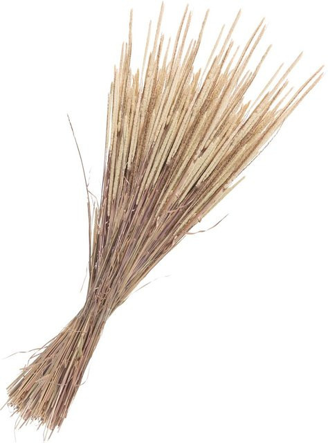 Trockenblumen Bouquet Phleum Pratensis von Othmar Decorations in Beige aus Naturmaterial - Bild 1